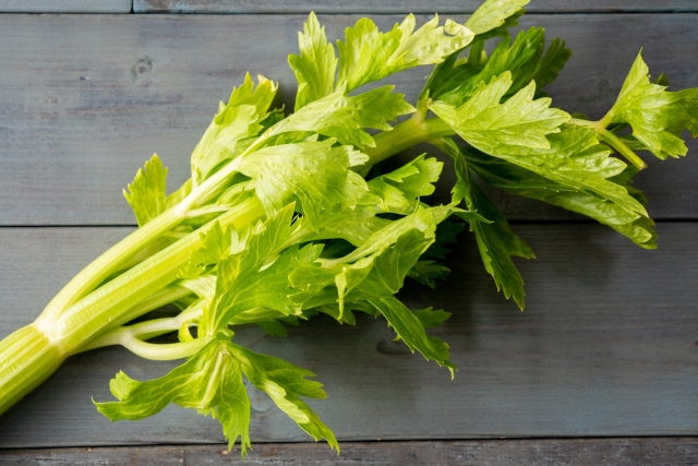 セロリ